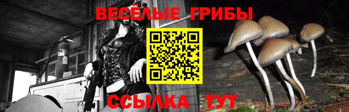 Галлюциногенные грибы Psilocybine cubensis  Вход с VPN  Фролово  Галлюциногенные грибы Psilocybe 